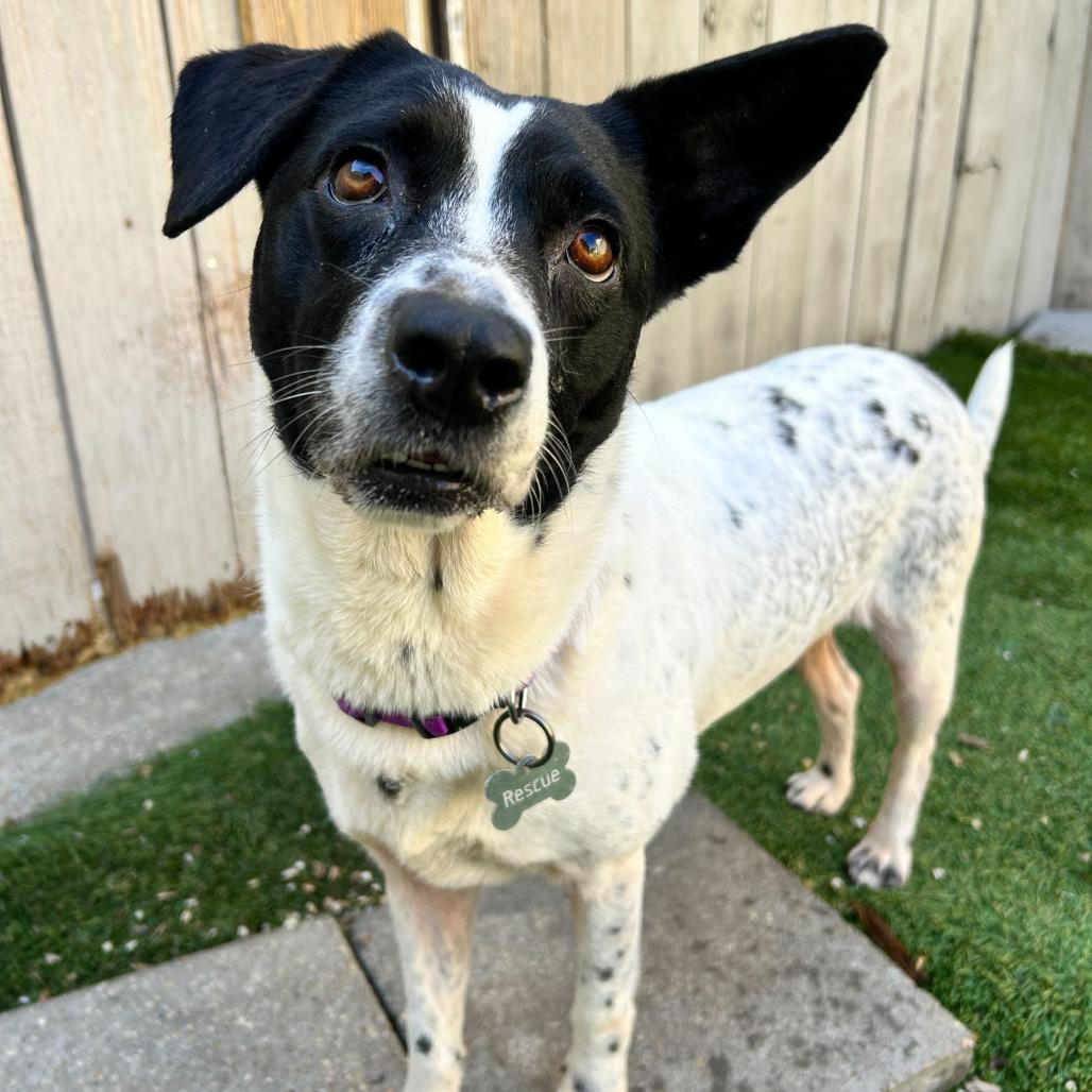 Michelle — thumbnail 3