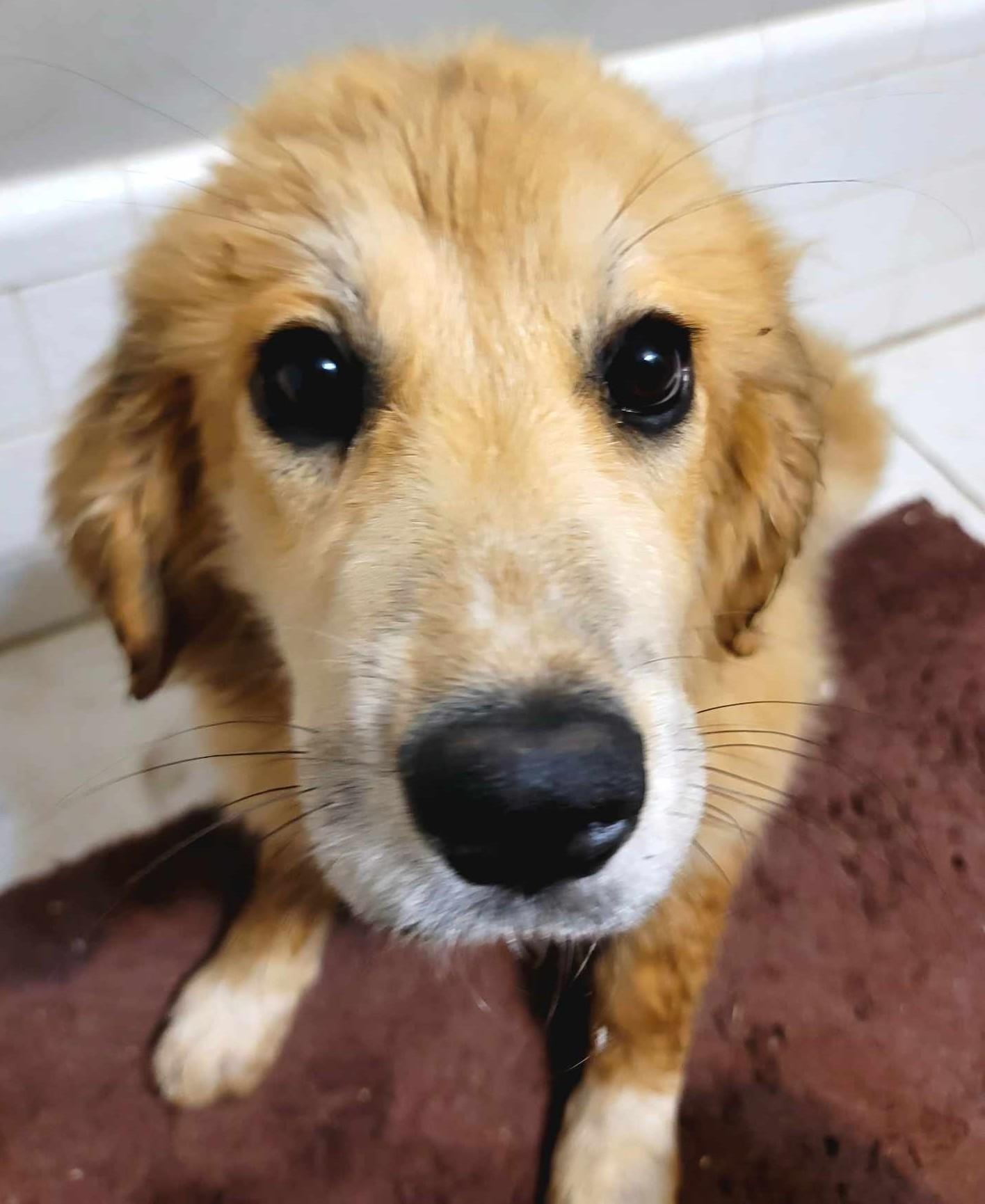 Ellie Mae thumbnail 5