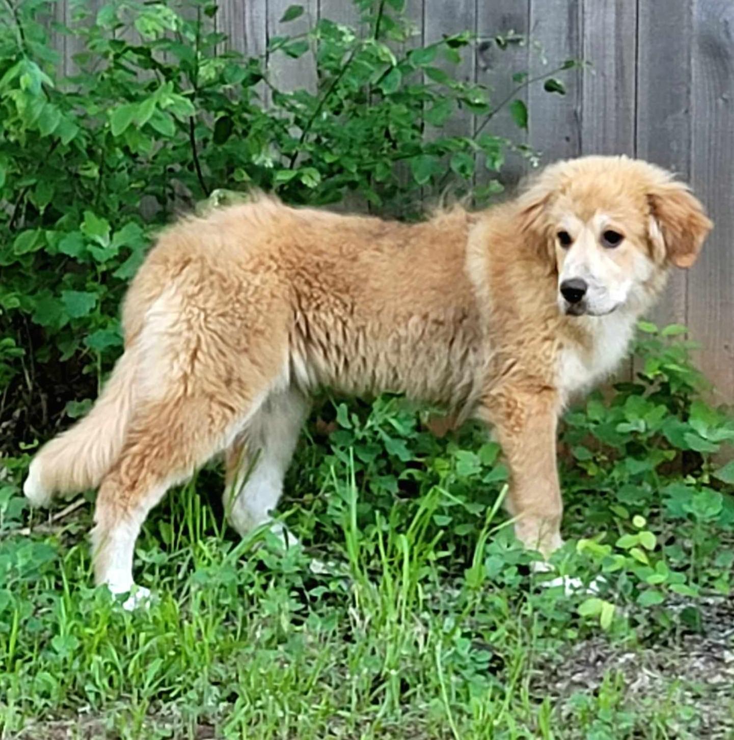 Ellie Mae thumbnail 2