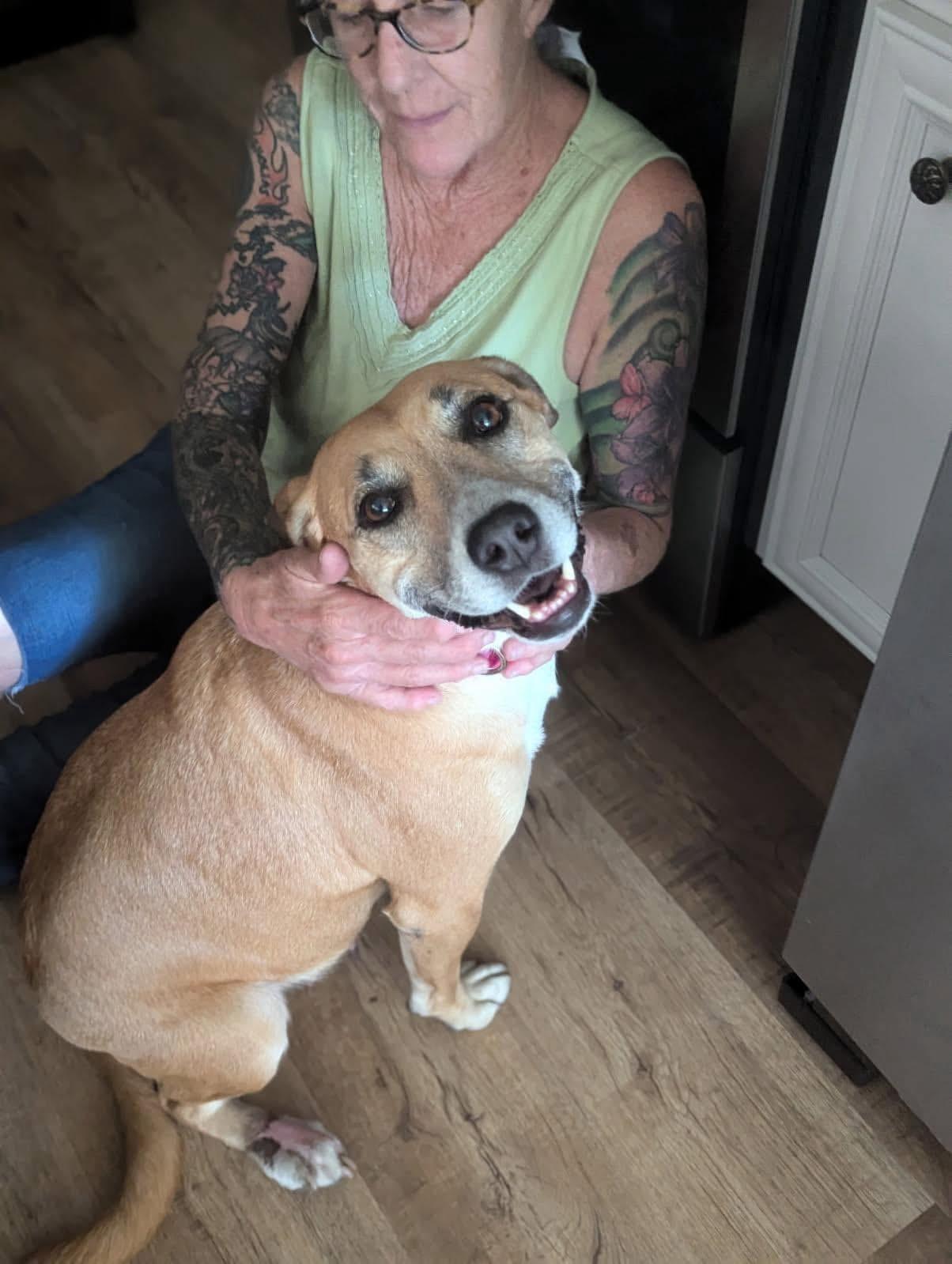 Hope, a Adoptable Hound in Opp, AL image 5/5