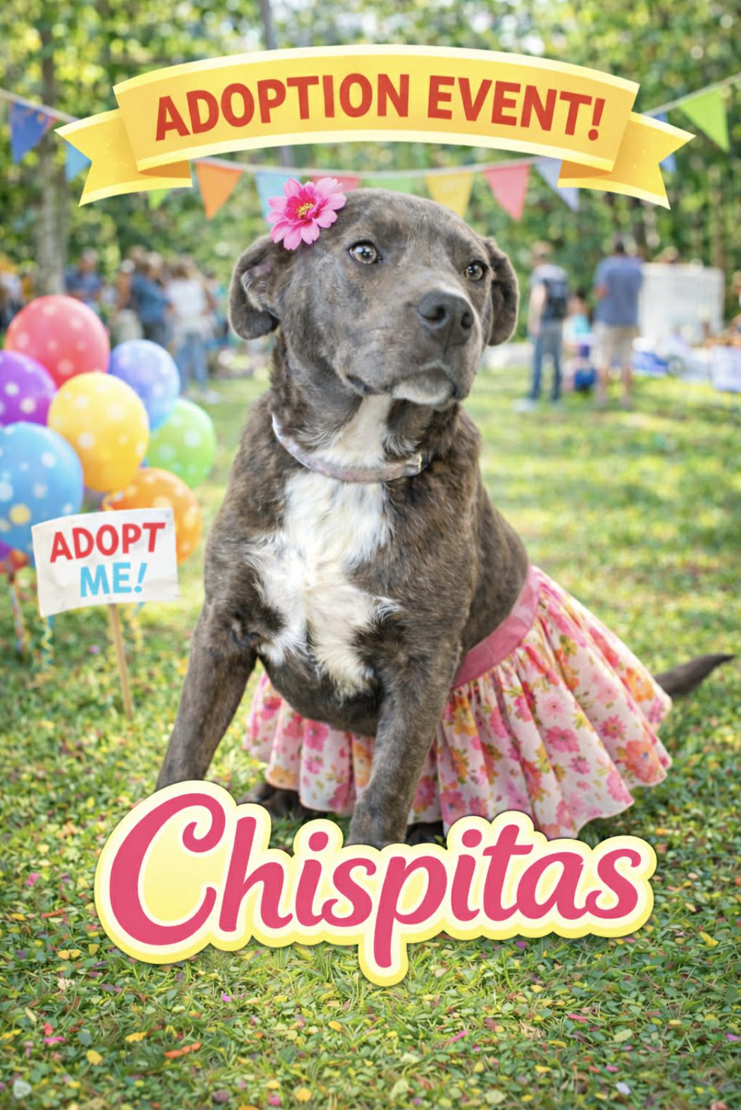 Chispitas — thumbnail 3