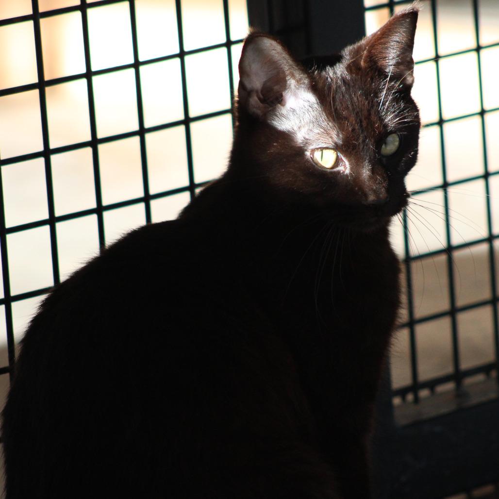 Ryder — thumbnail 6