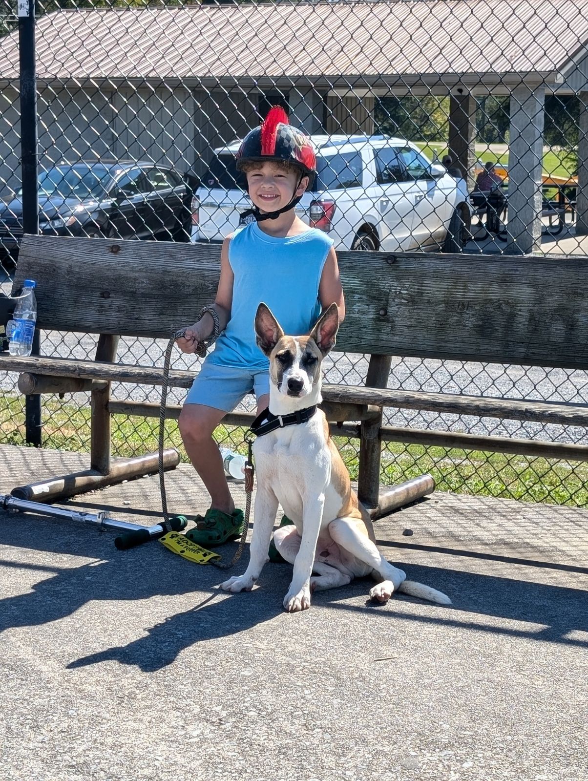 Dog for adoption Atlas, a Mixed Breed in Cherry Hill, NJ Petfinder