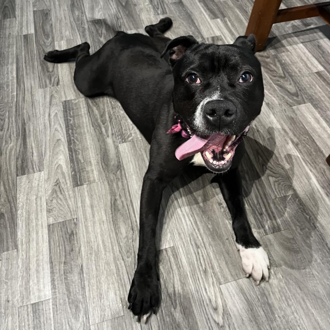 Betty Boop thumbnail 2