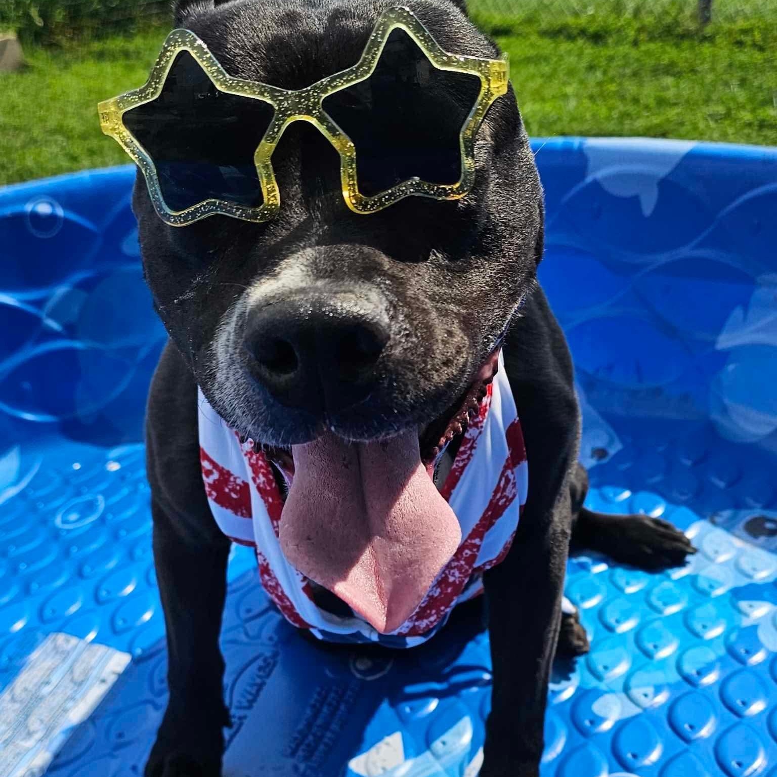 Betty Boop thumbnail 4