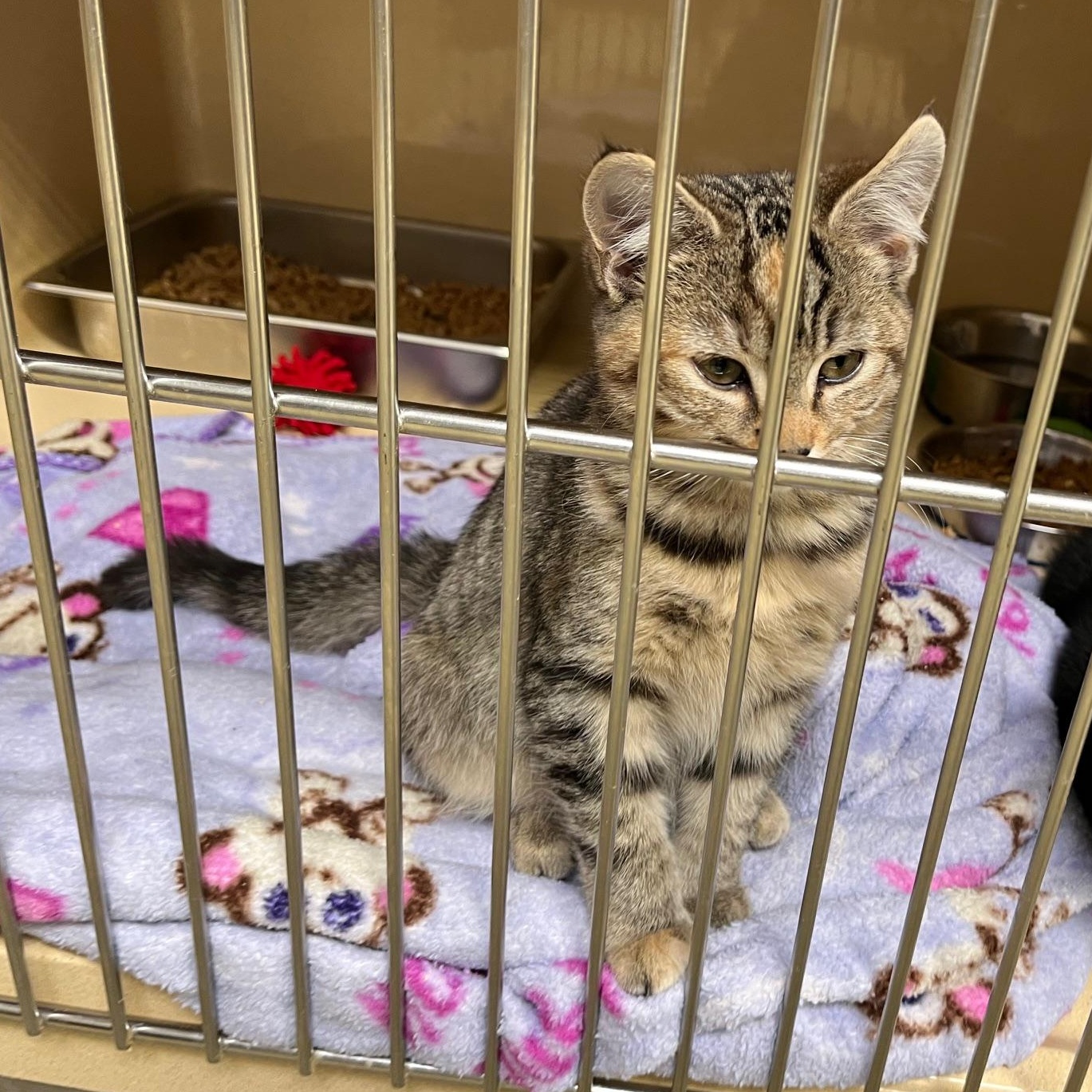 Sun Shine thumbnail 2