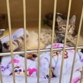 Sun Shine thumbnail 3