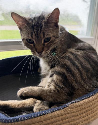 Diamond — thumbnail 6