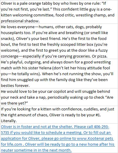 Oliver thumbnail 6