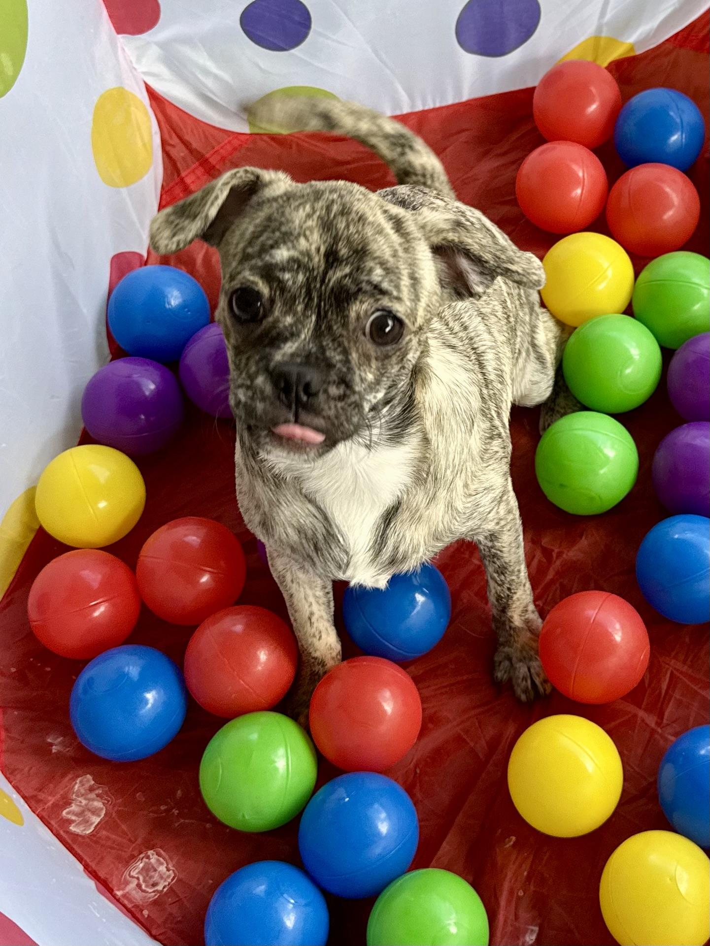 Chloe — thumbnail 2