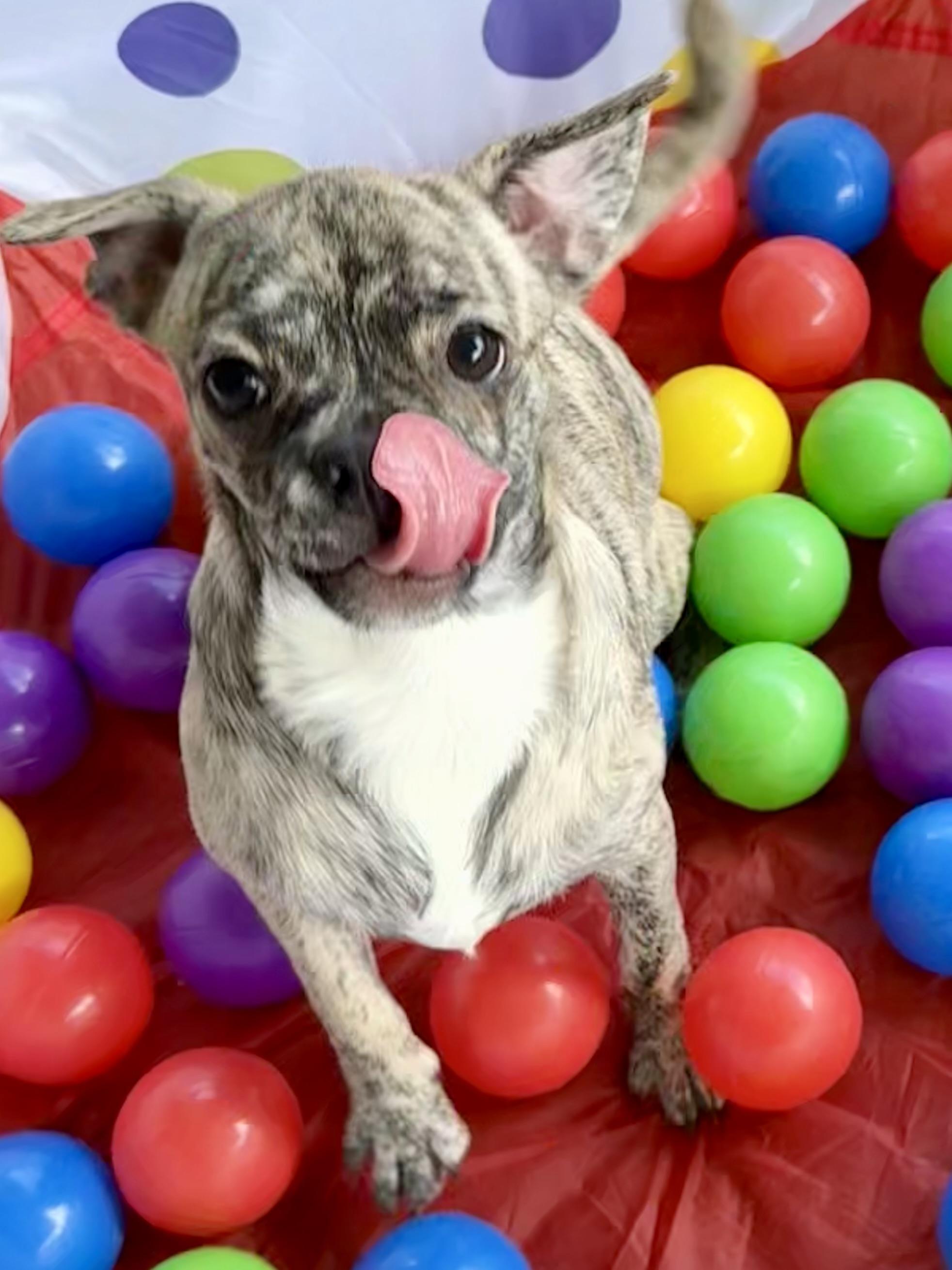 Chloe — thumbnail 4