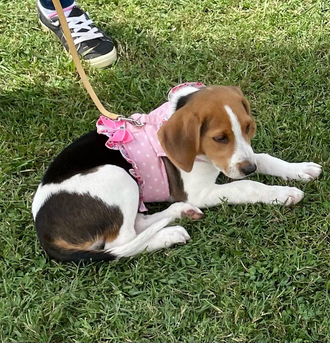 Lucy