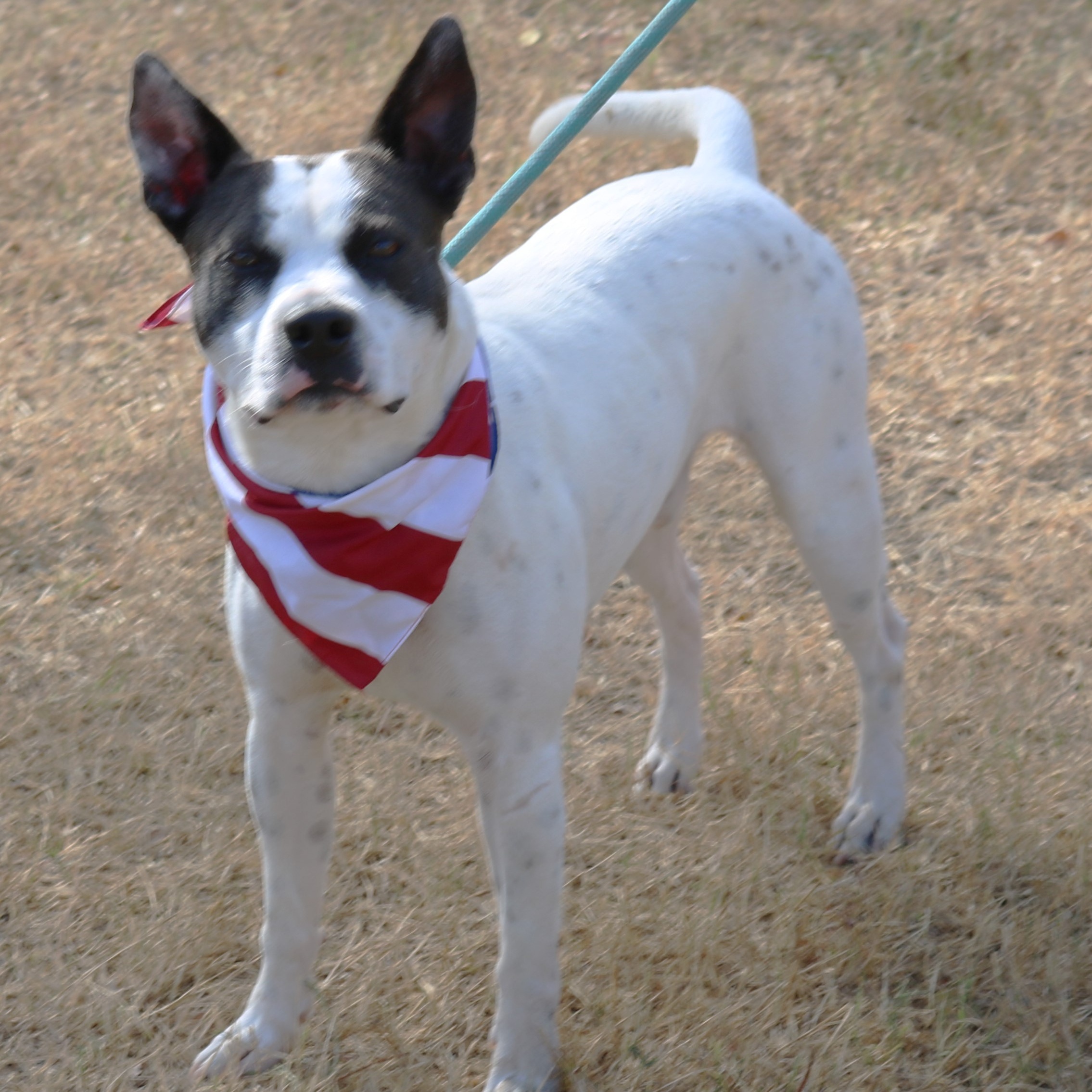Buddy photo 2