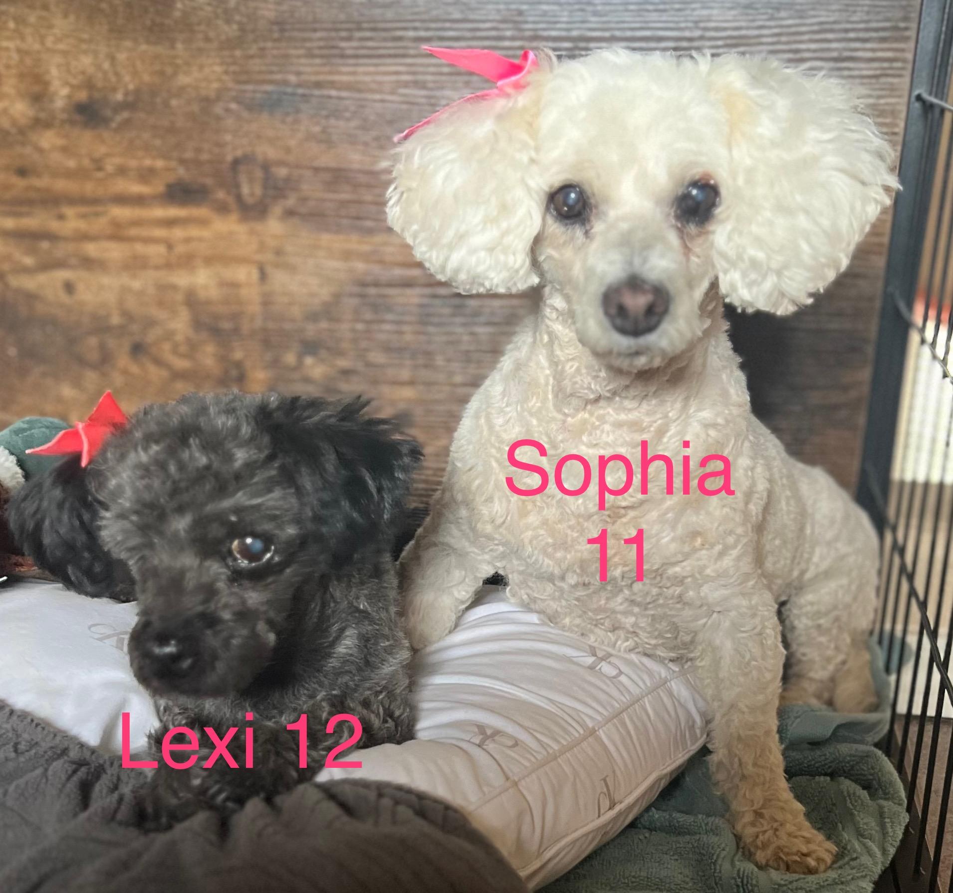 Sophia and Lexi