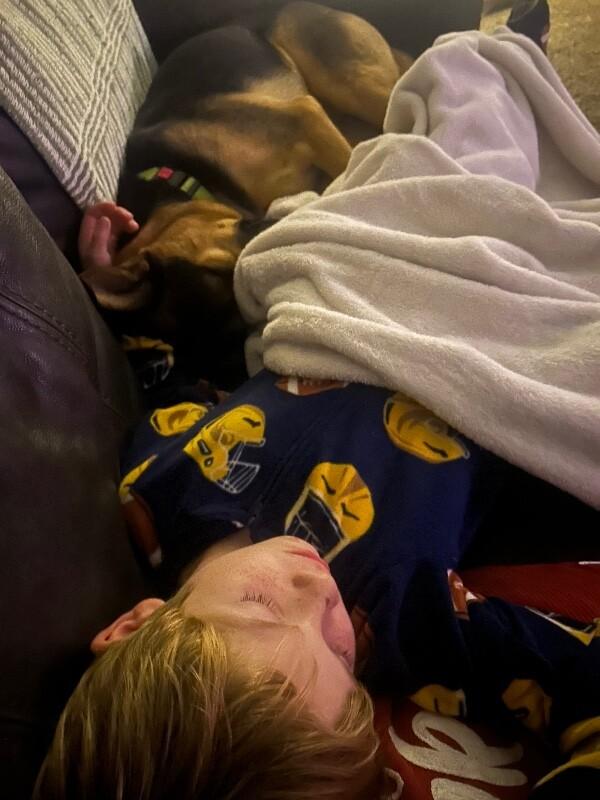 Hank the Family Guy — thumbnail 5