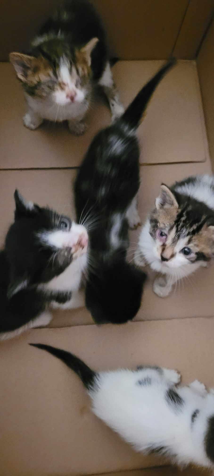 Bottle fed baby 2 of 5