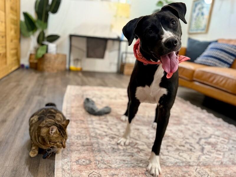 Zelda True Hearted Family Girl — thumbnail 5