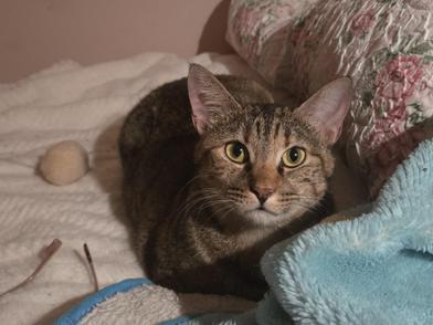 Honey — thumbnail 3