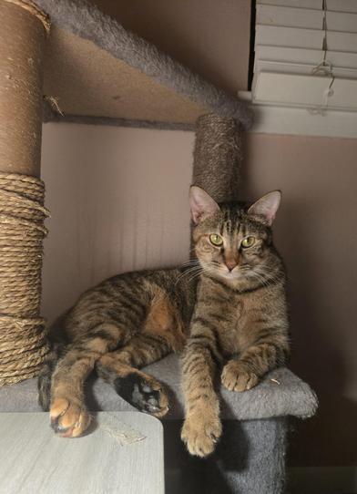 Honey — thumbnail 4