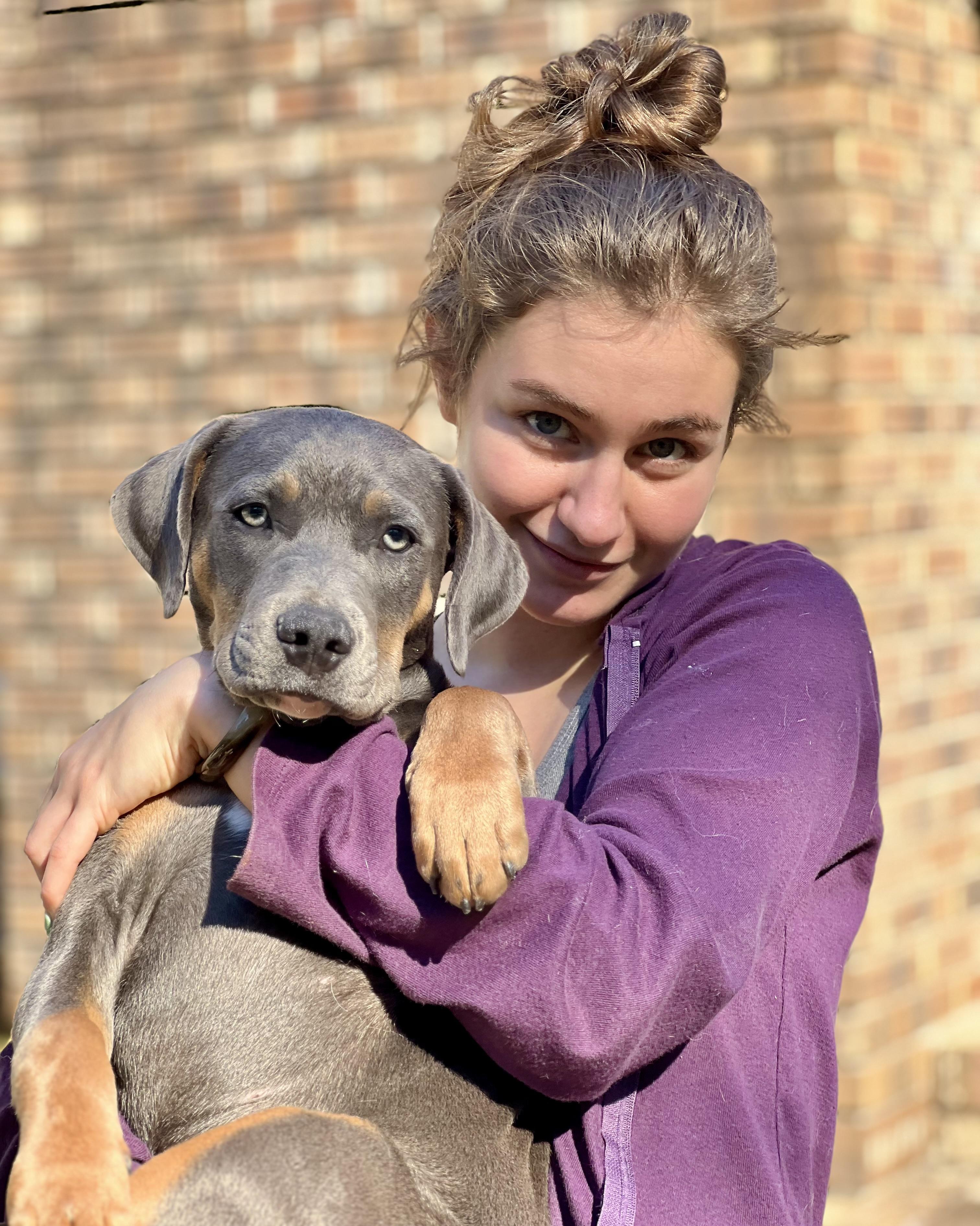 Enlarge Dale, a Adoptable mixed breed in Mt Pleasant, SC image 1/6