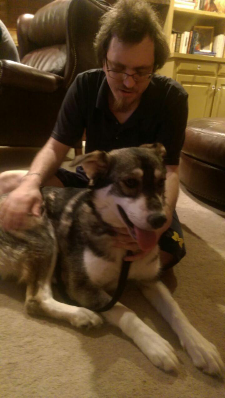 Enlarge Nubbins, a Adopted mixed breed in Cuyahoga Falls, OH image 2/3