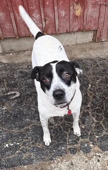 Parker (20251206-01)