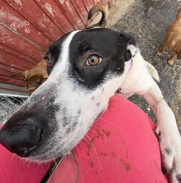 Parker (20251206-01) — thumbnail 3