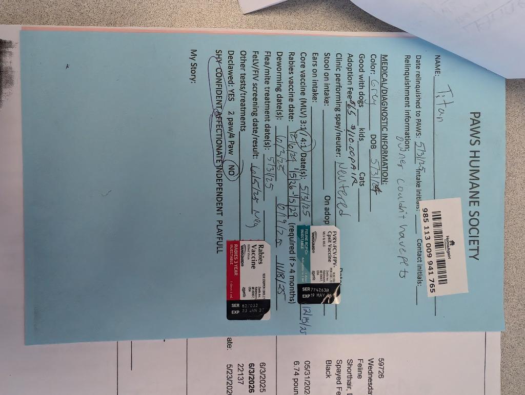 Enlarge Titan, a Adopted mixed breed in Rockford, IL image 5/6