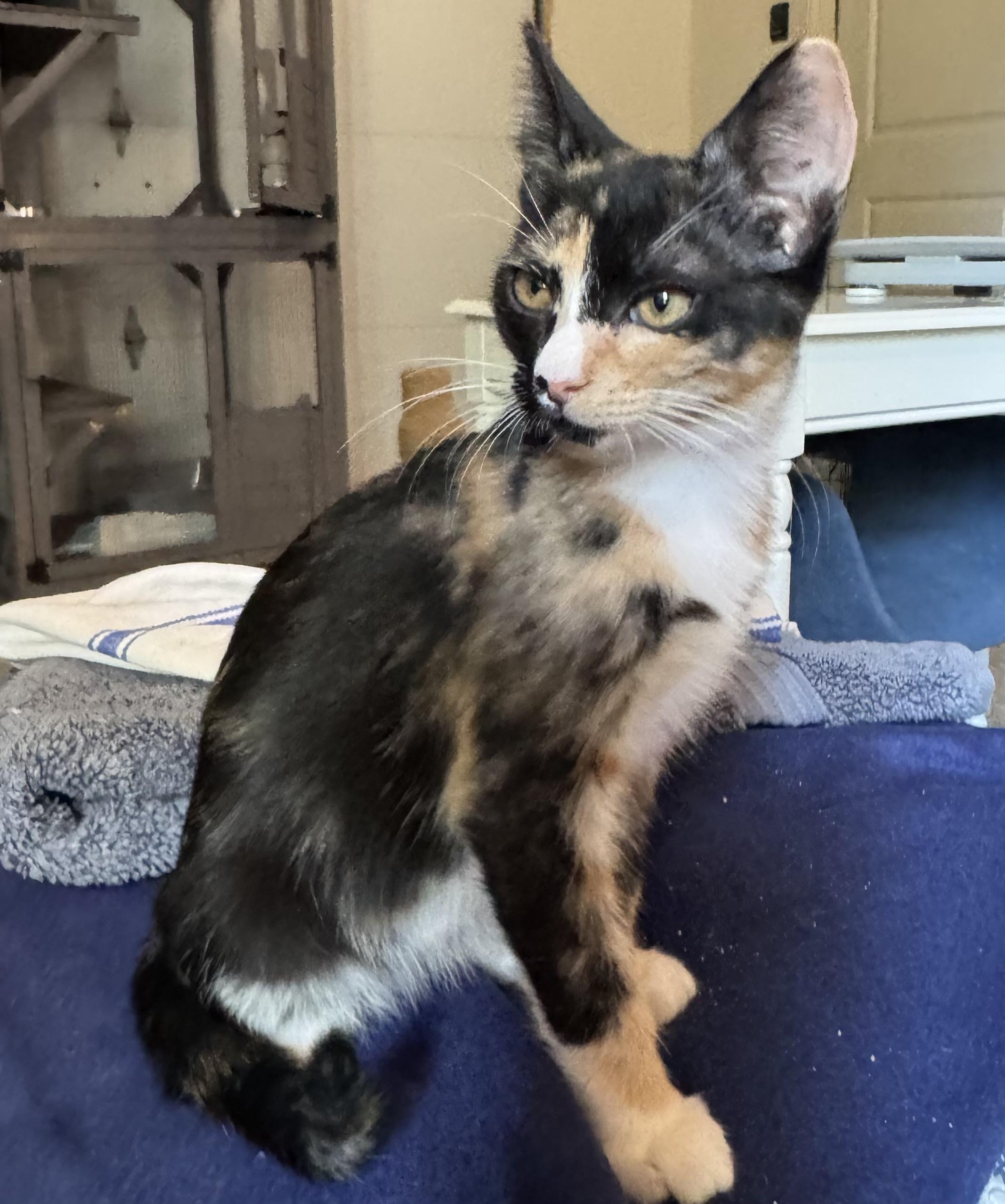 Hannah Sweetest And Loving thumbnail 4