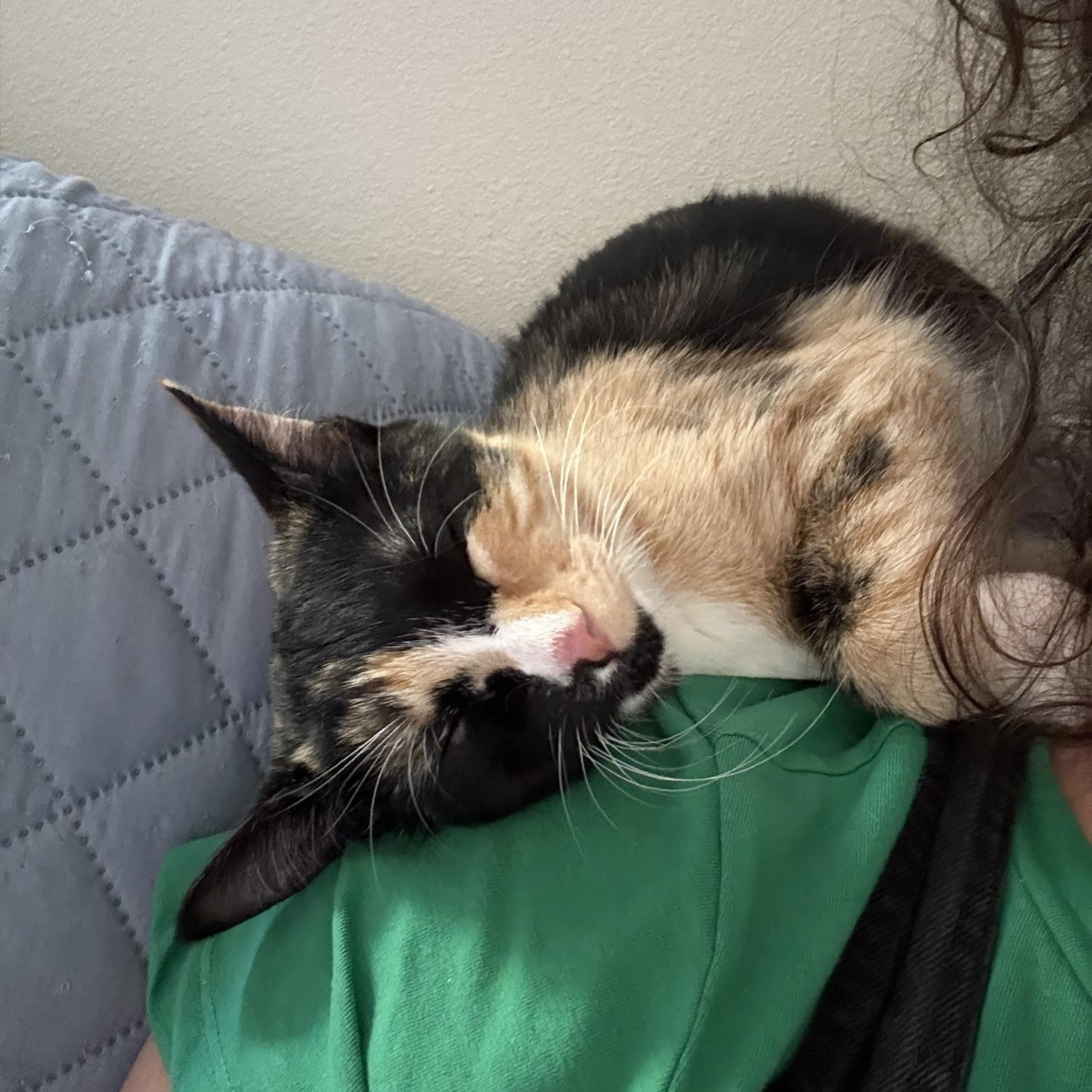 Hannah Sweetest And Loving thumbnail 5