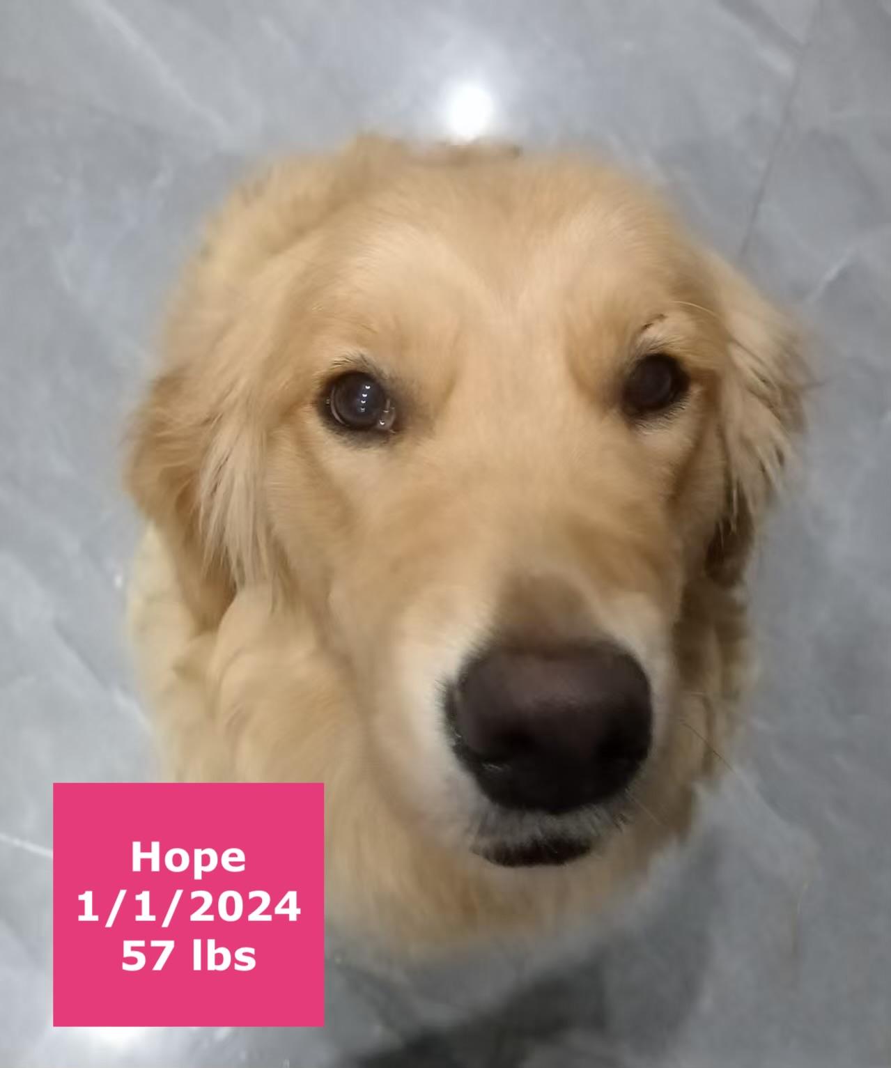 Hope photo 1