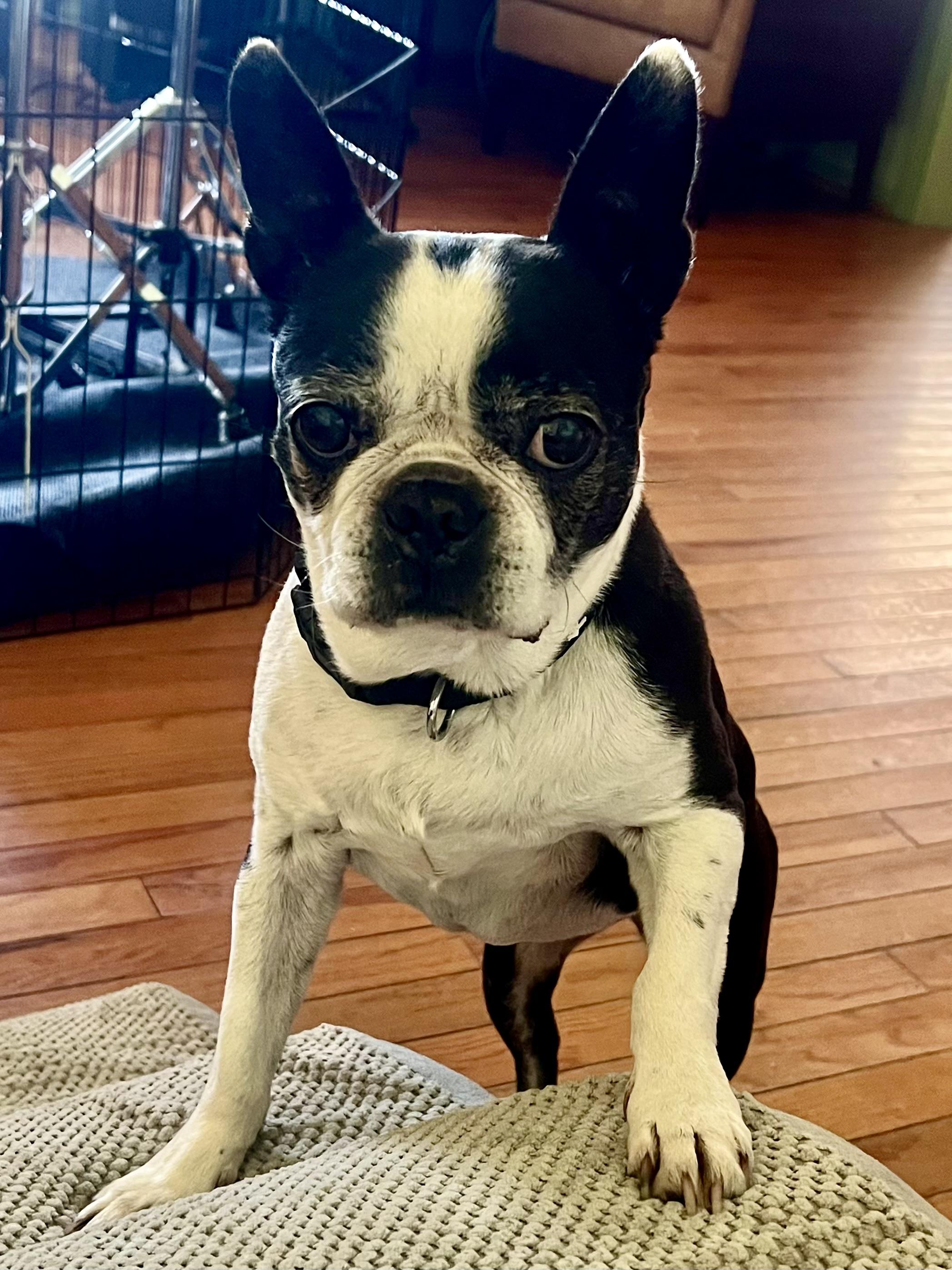 Dru Zobel thumbnail 2