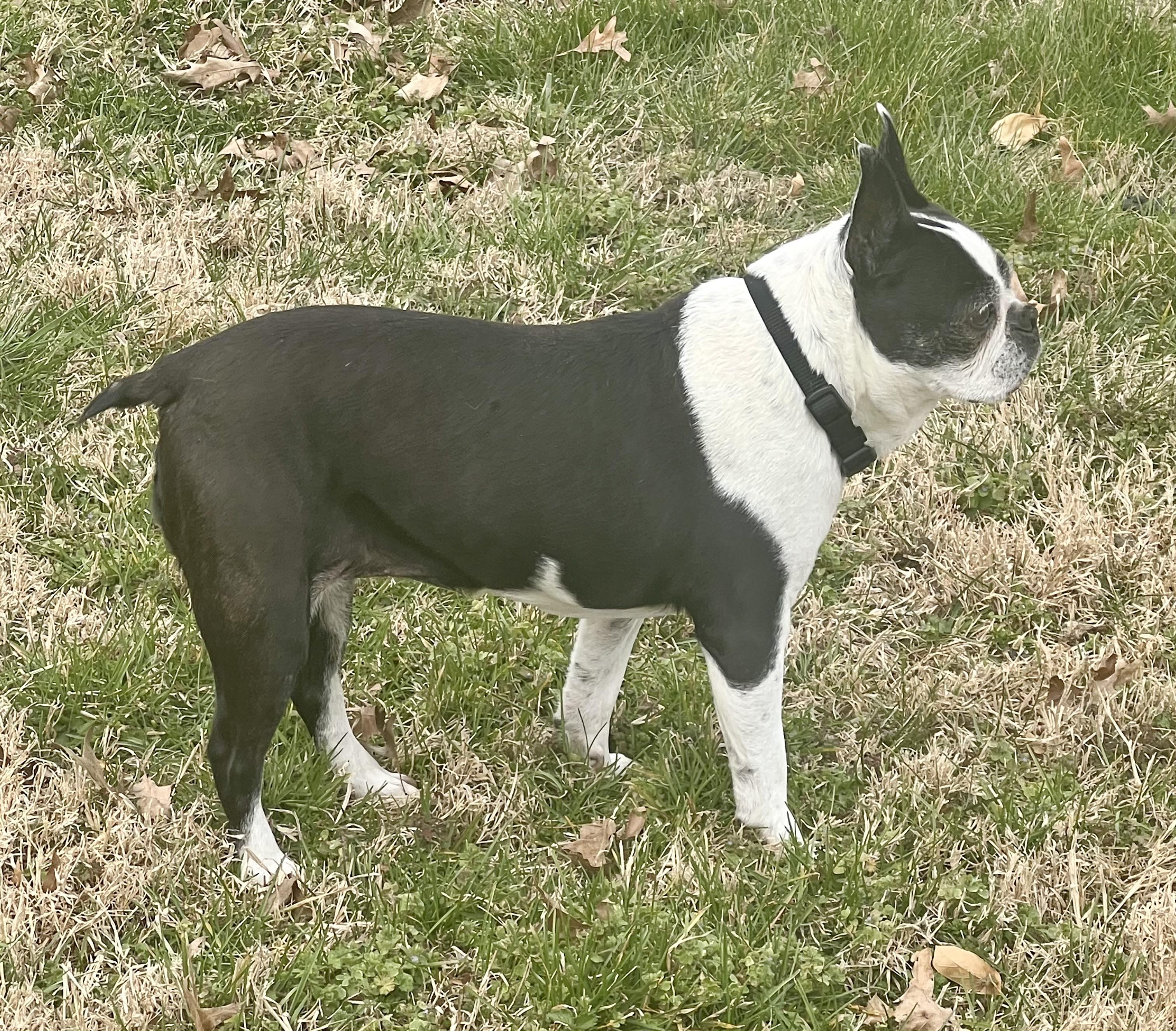 Dru Zobel thumbnail 3