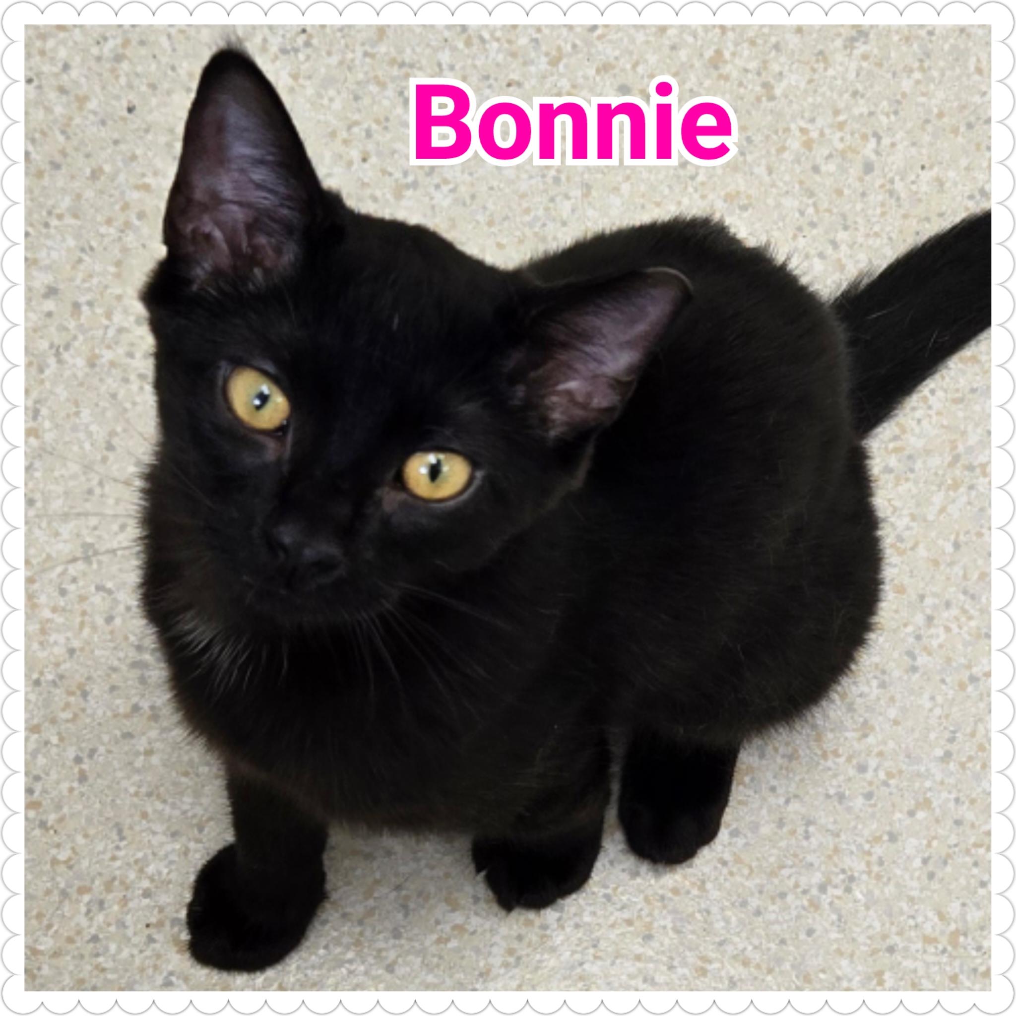 Bonnie