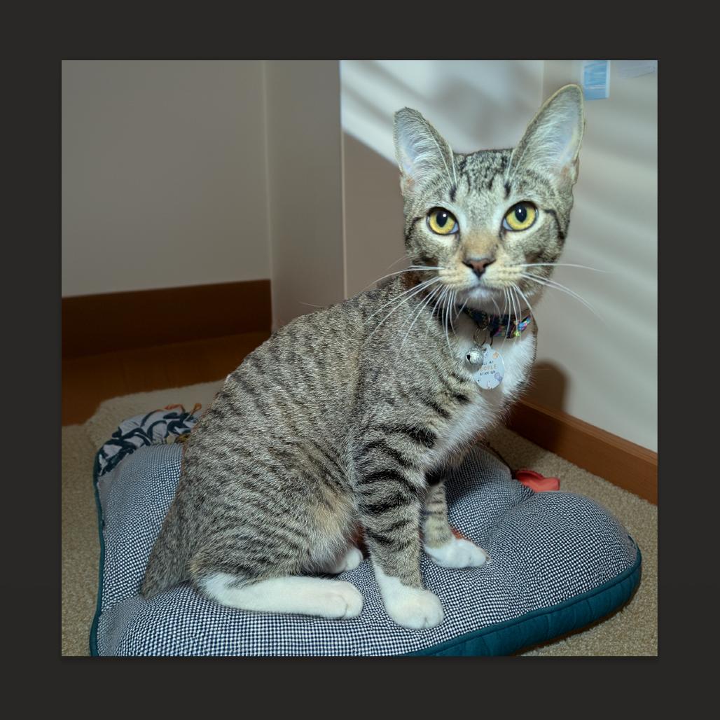 Charlie Charmer — thumbnail 2