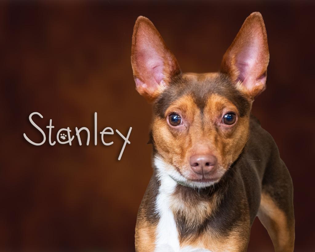 Stanley photo