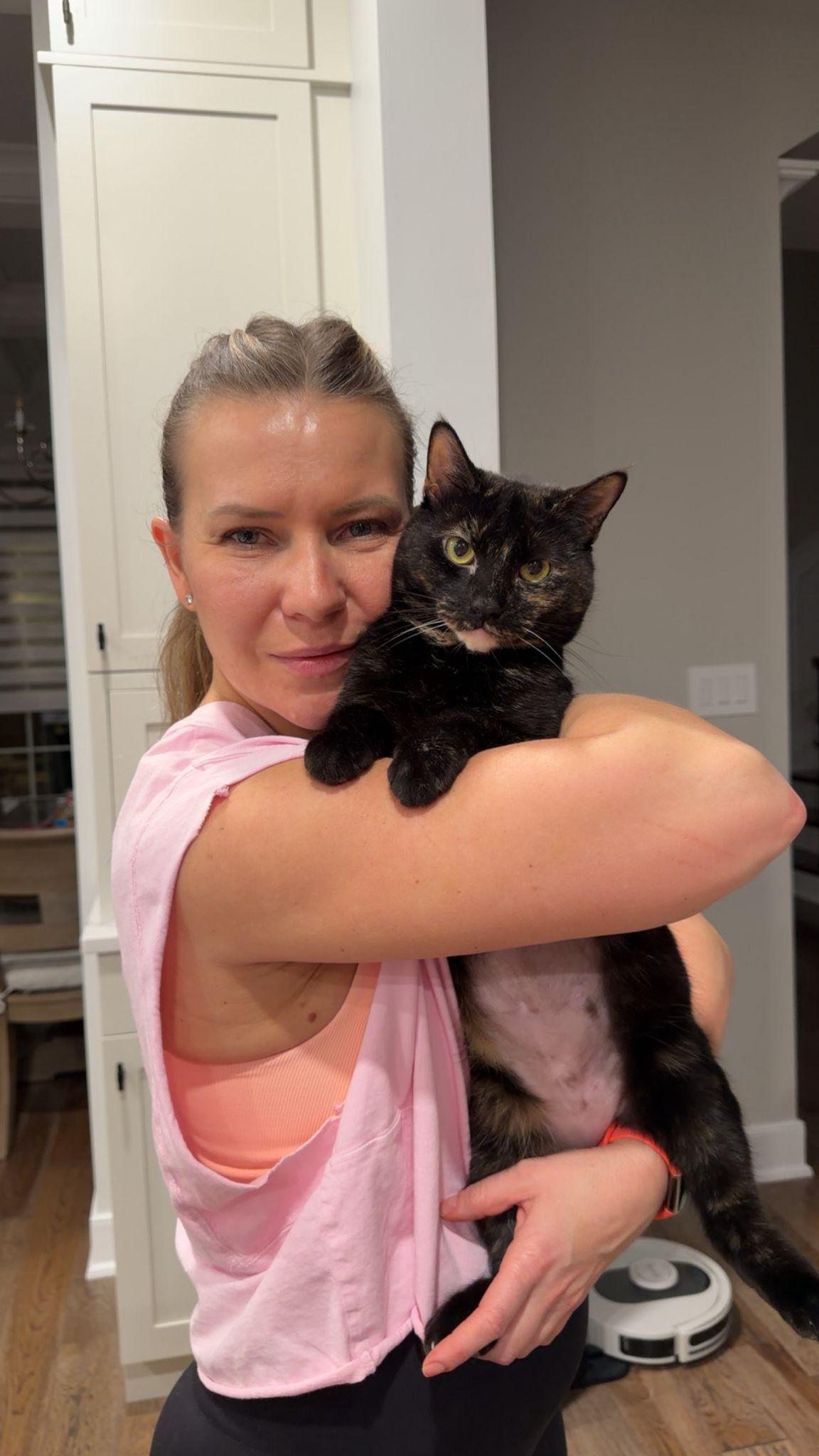 Enlarge Peanut, a Adoptable Domestic Short Hair in Sicklerville , NJ image 2/3