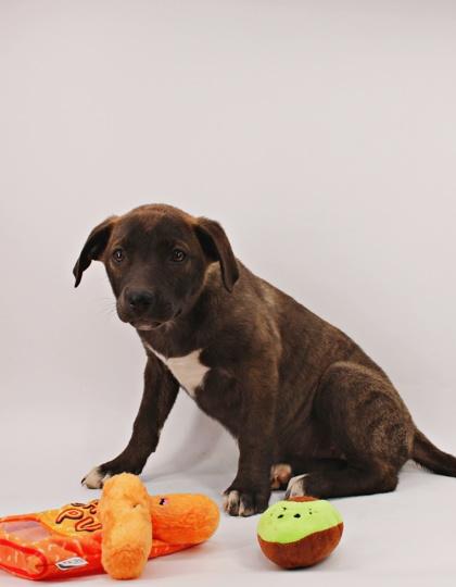 Keira — thumbnail 2