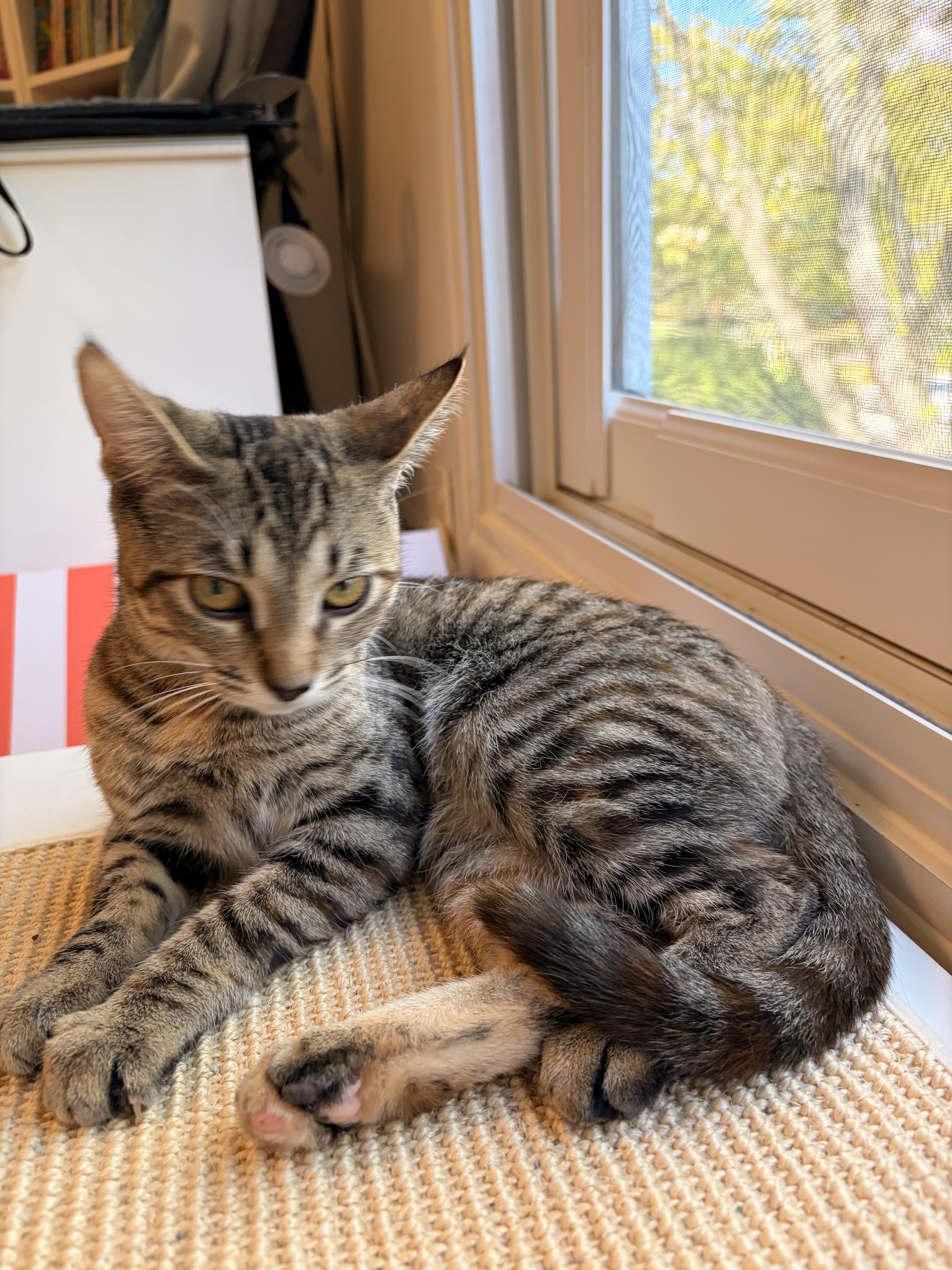 Butter 0425 RL (bonded with Peanut)