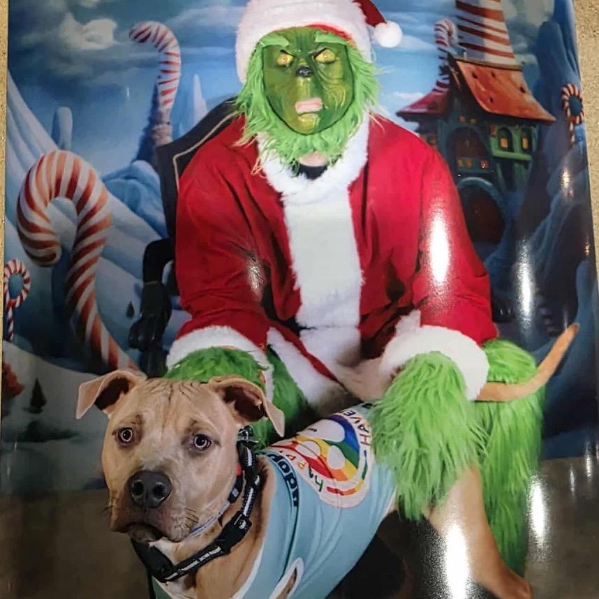 Cubby Cadet thumbnail 6