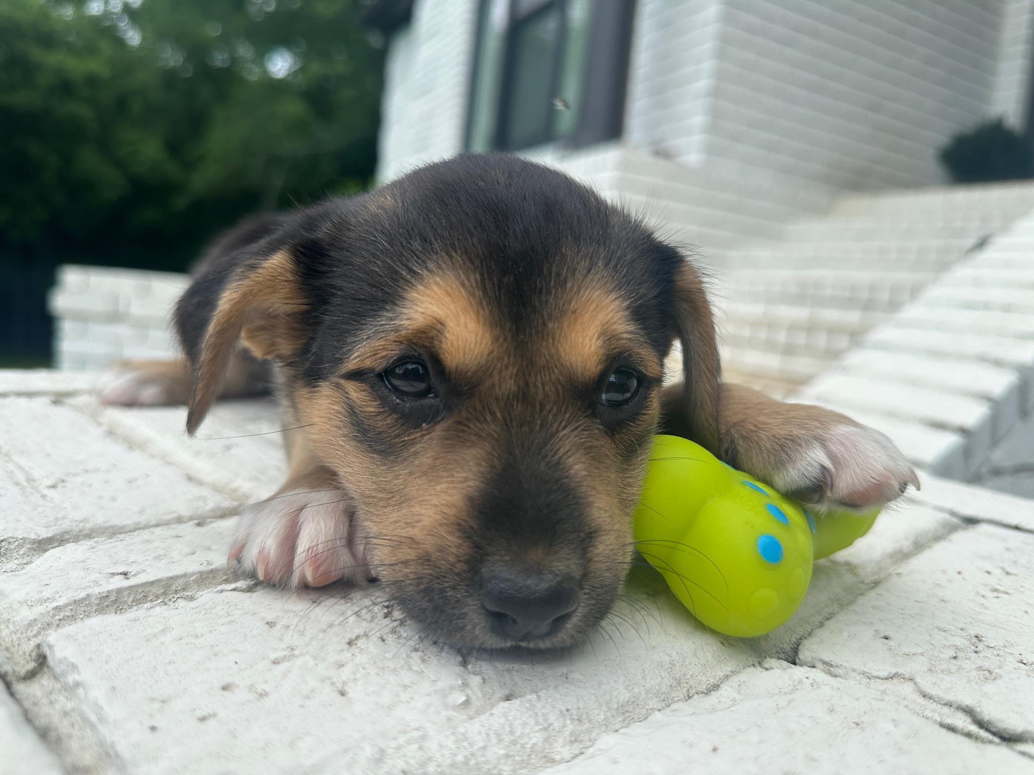 Jillie thumbnail 3