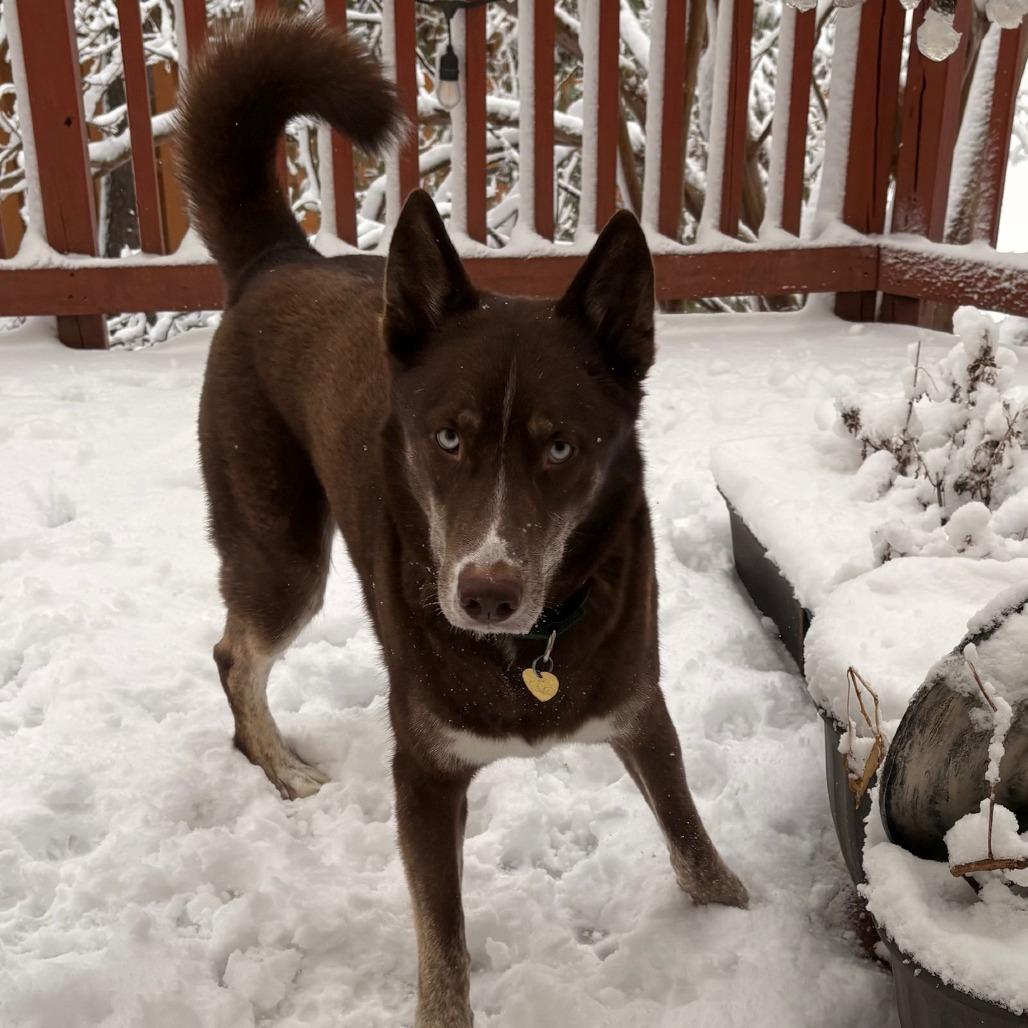 Artic (aka Artie) — thumbnail 2