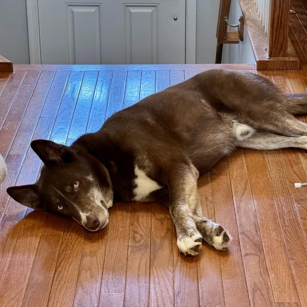 Artic (aka Artie) — thumbnail 3