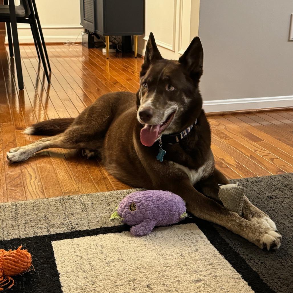 Artic (aka Artie) — thumbnail 5