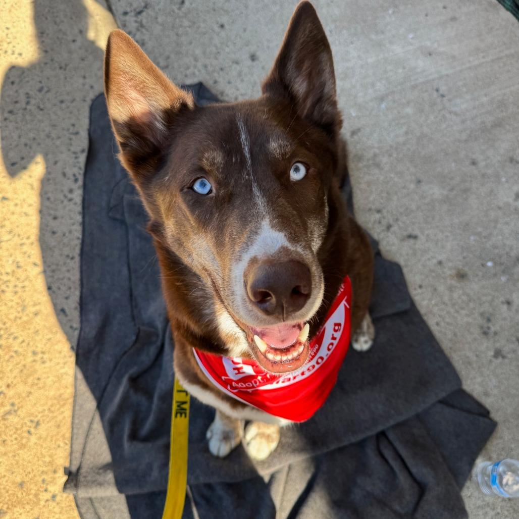 Artic (aka Artie) — thumbnail 6