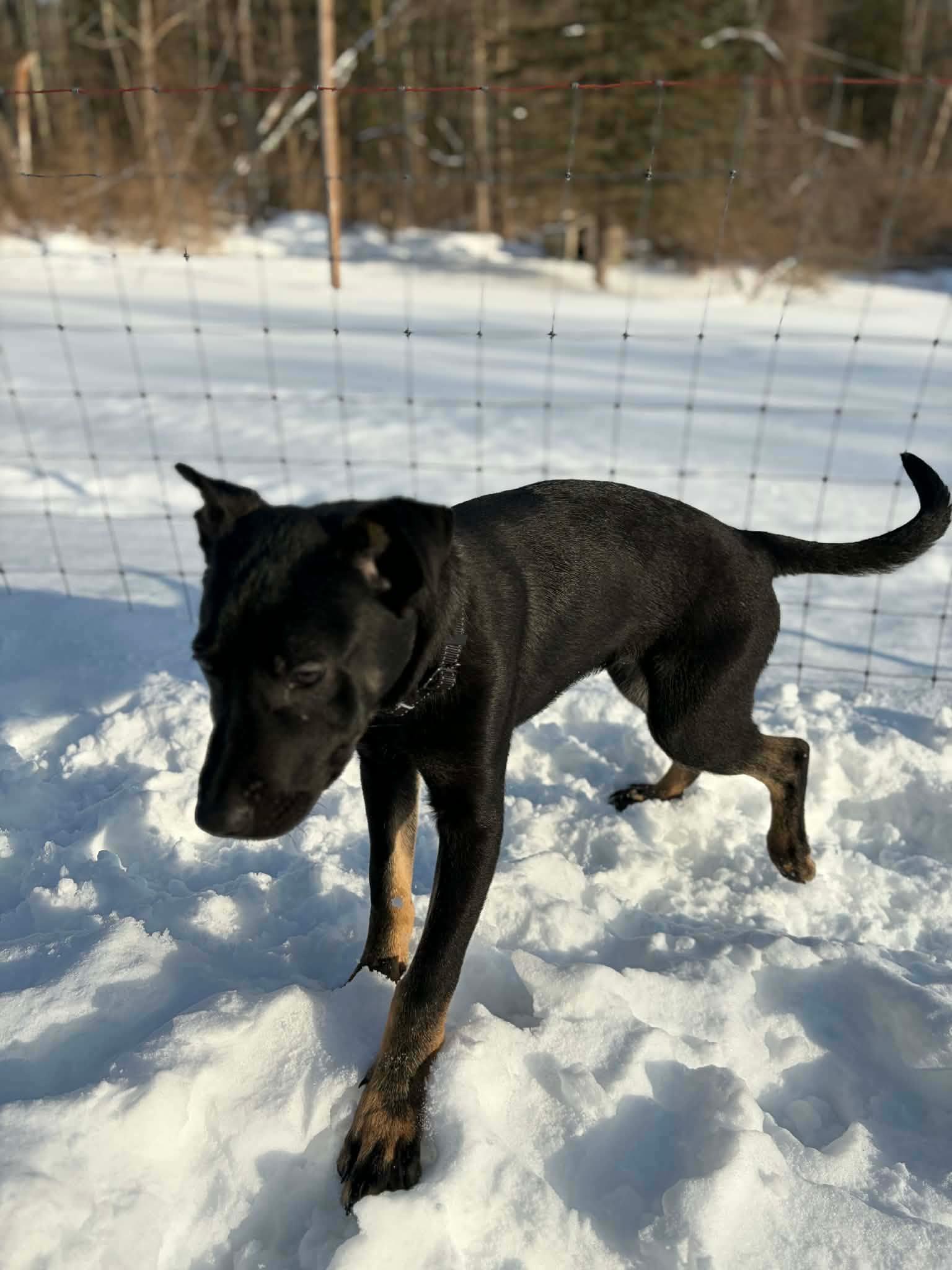 Canyon — thumbnail 3