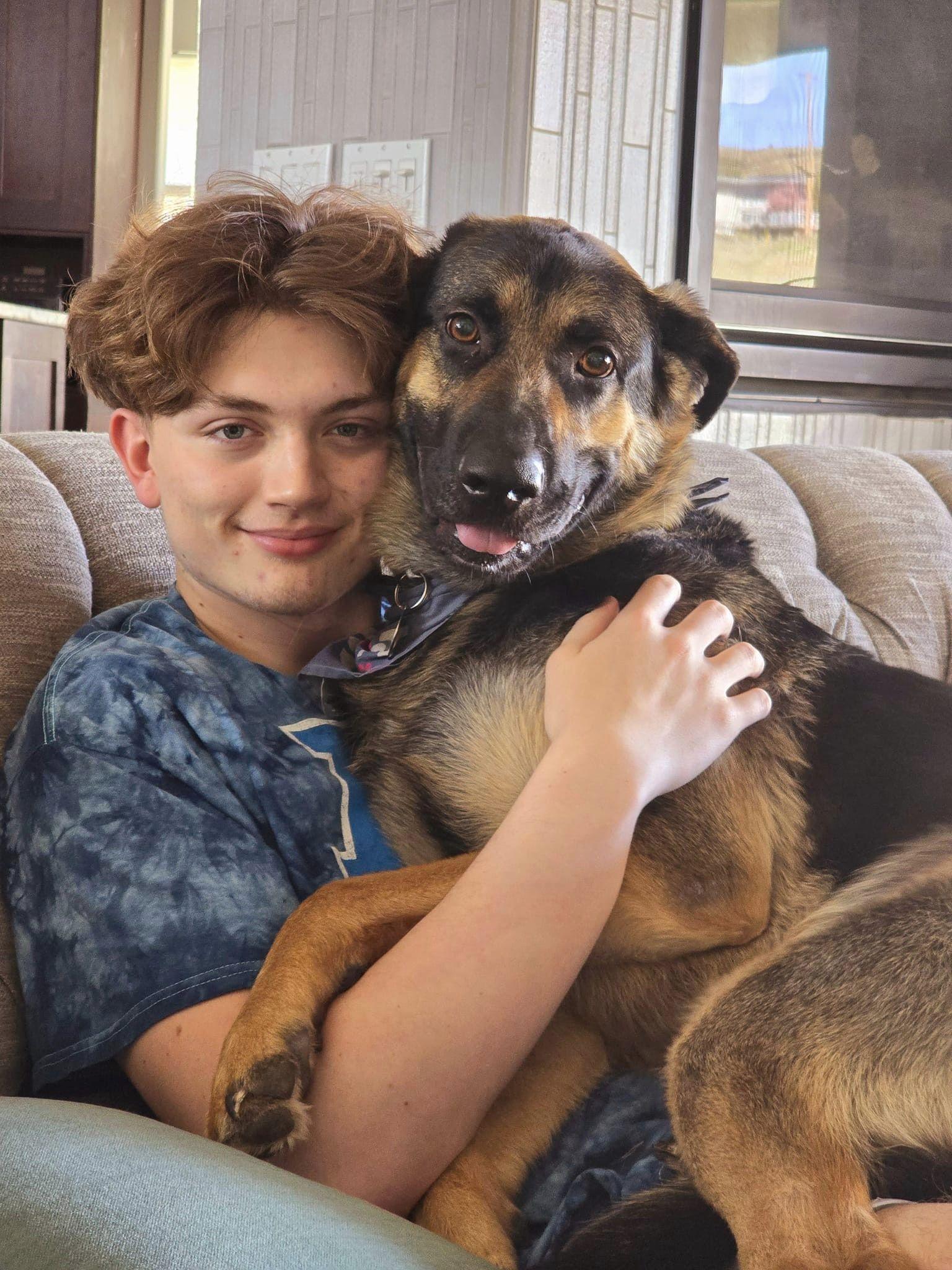 Enlarge Arcadia, a Adoptable German Shepherd Dog in West Richland, WA image 2/6