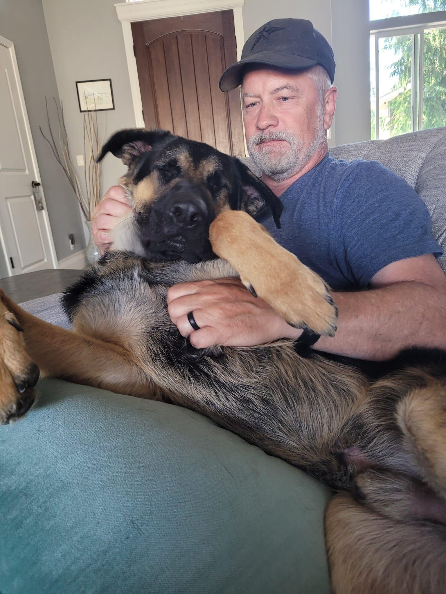 Enlarge Arcadia, a Adoptable German Shepherd Dog in West Richland, WA image 5/6