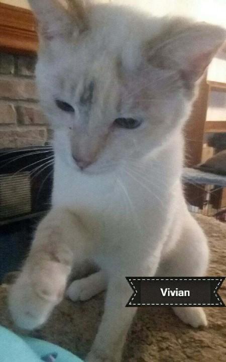 Vivian — thumbnail 2