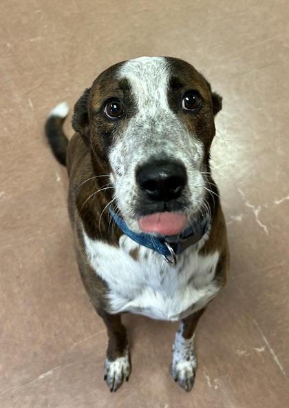 Miles — thumbnail 2